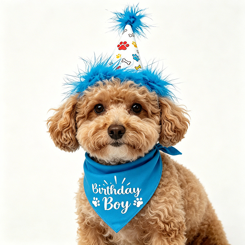 Dog Birthday Party Set Bandana - Pet Supplies In Bulk ulasan dan harga