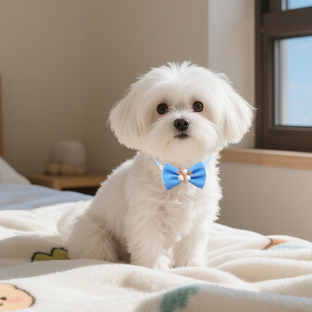 50pcs Bulk Pet Dog Bow Tie Fas - Pet Supplies In Bulk ulasan dan harga
