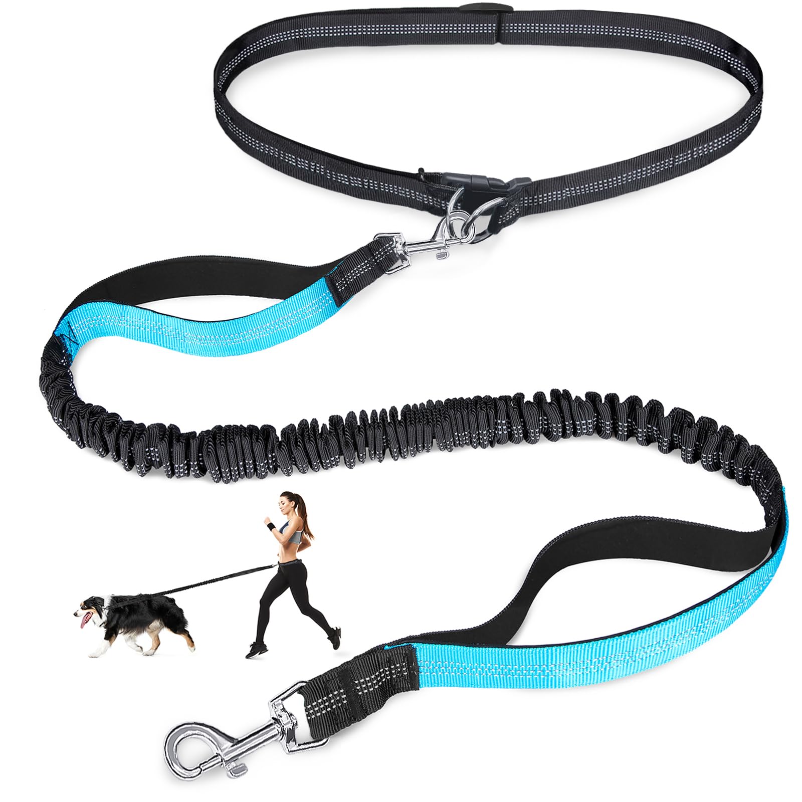 Double elastic reflective runn - Pet Supplies In Bulk ulasan dan harga