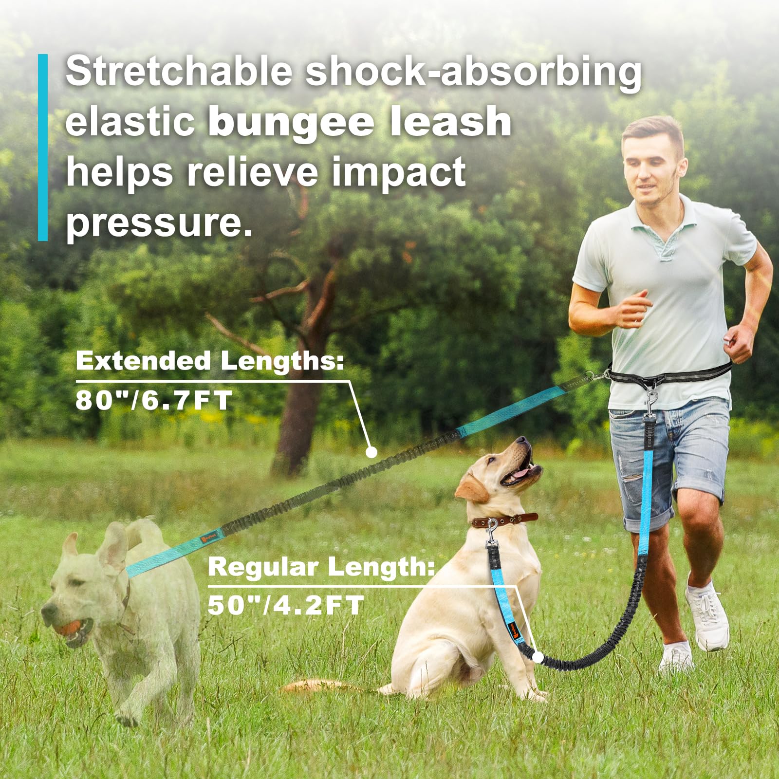 Double elastic reflective runn - Pet Supplies In Bulk ulasan dan harga