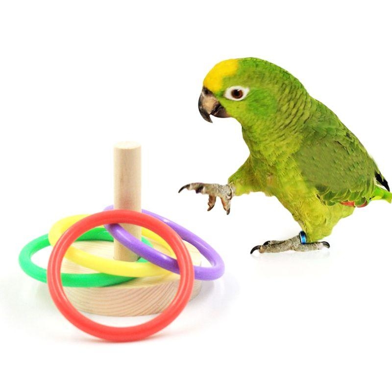 Bird Parrot Wooden Platform Pl - Pet Supplies Ringwood ulasan dan harga