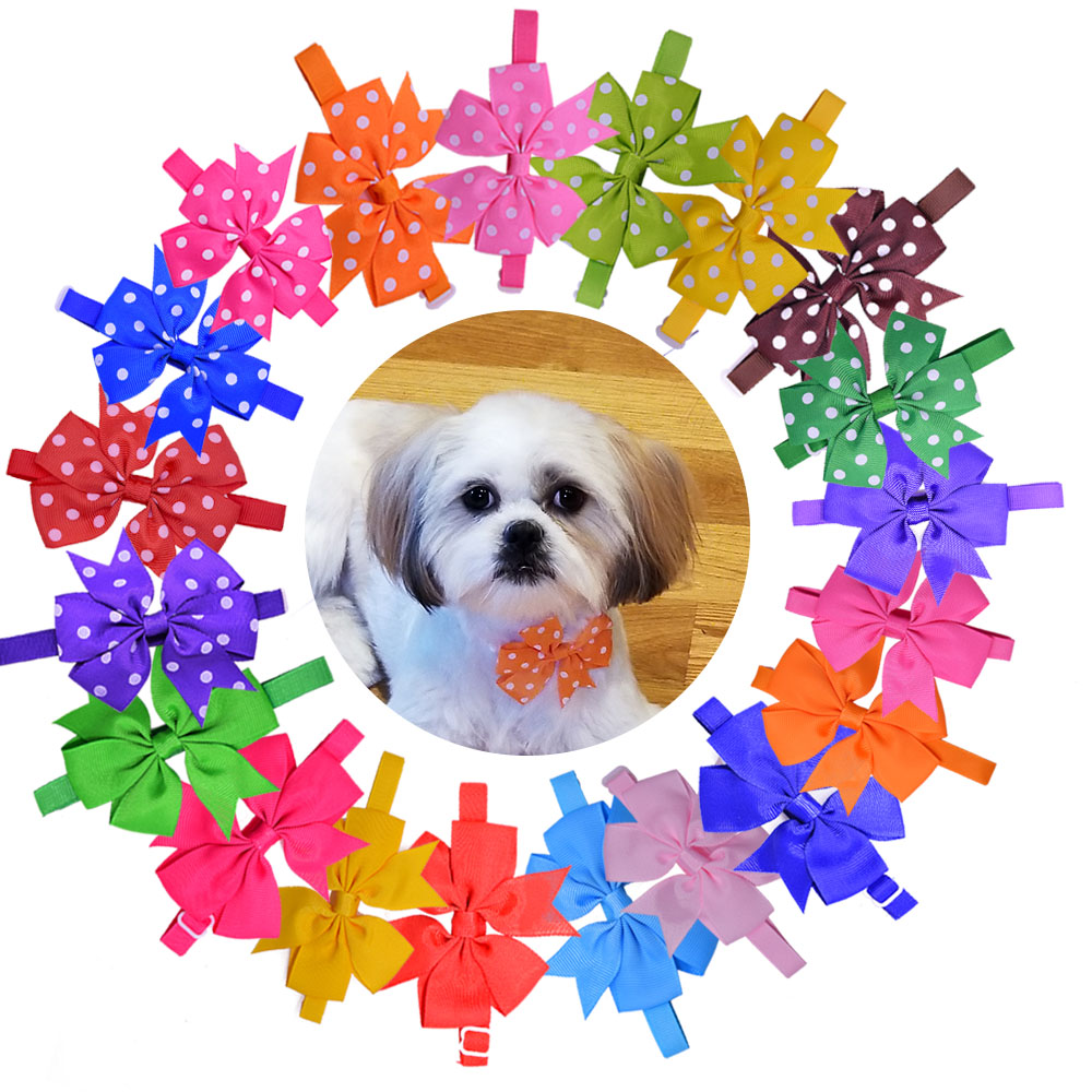 Wholesale 500pcs Solid Dot Dog - Pet Supplies In Bulk ulasan dan harga