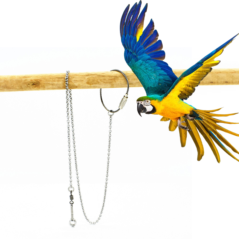 1Pcs Pet Parrot Leg Ring Ankle - Pet Supplies Ringwood ulasan dan harga