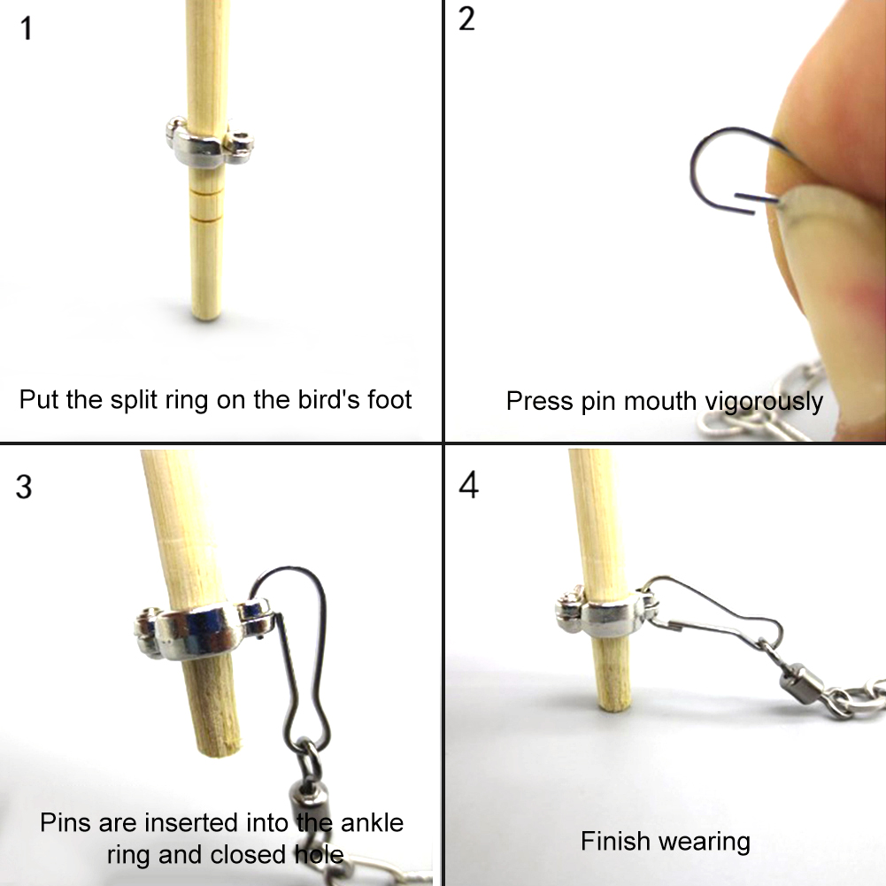 1Pcs Pet Parrot Leg Ring Ankle - Pet Supplies Ringwood ulasan dan harga